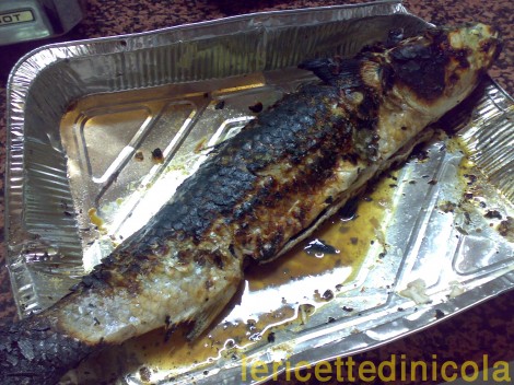 cucina,ricetta,ricette,ricette pesce,pesce azzurro,ricetta fotografata,come cucinare il cefalo,ricetta economica