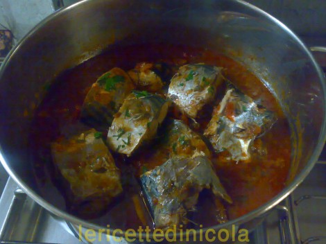 cucina,ricetta,ricette,ricetta pesce azzurro,ricetta palamita,ricetta siciliana,
